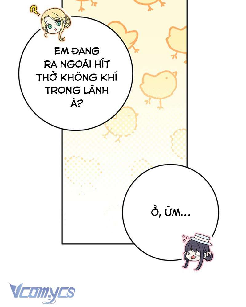 Tôi Đã Nuôi Dạy Em Gái Mình Một Cách Hoàn Hảo Chapter 22 - Trang 4