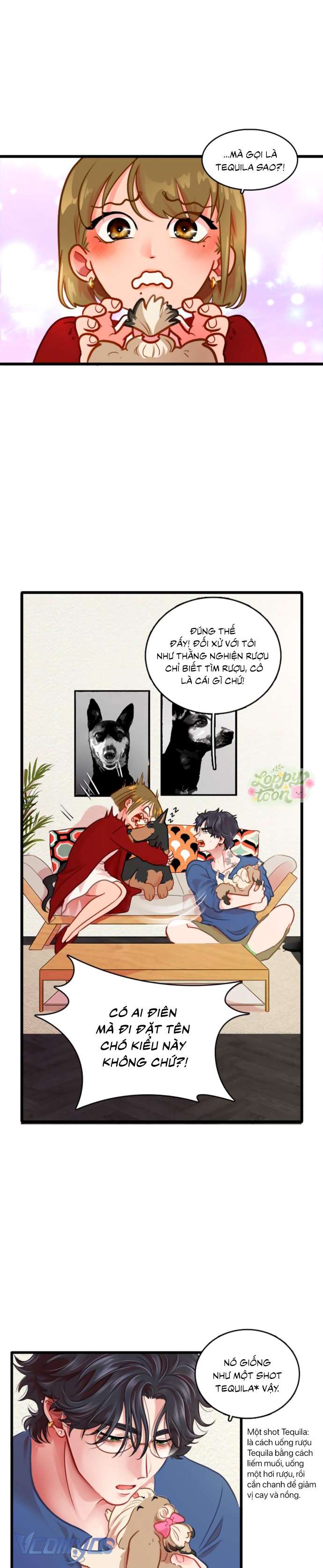 Chú Cún Dạo Bước Cùng Anh Chap 2 - Next Chap 2