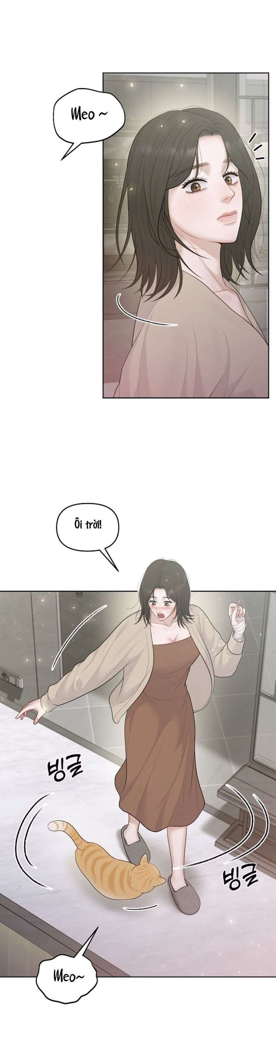 Mang Thai, Chiếm Đoạt Chap 13 - Trang 3