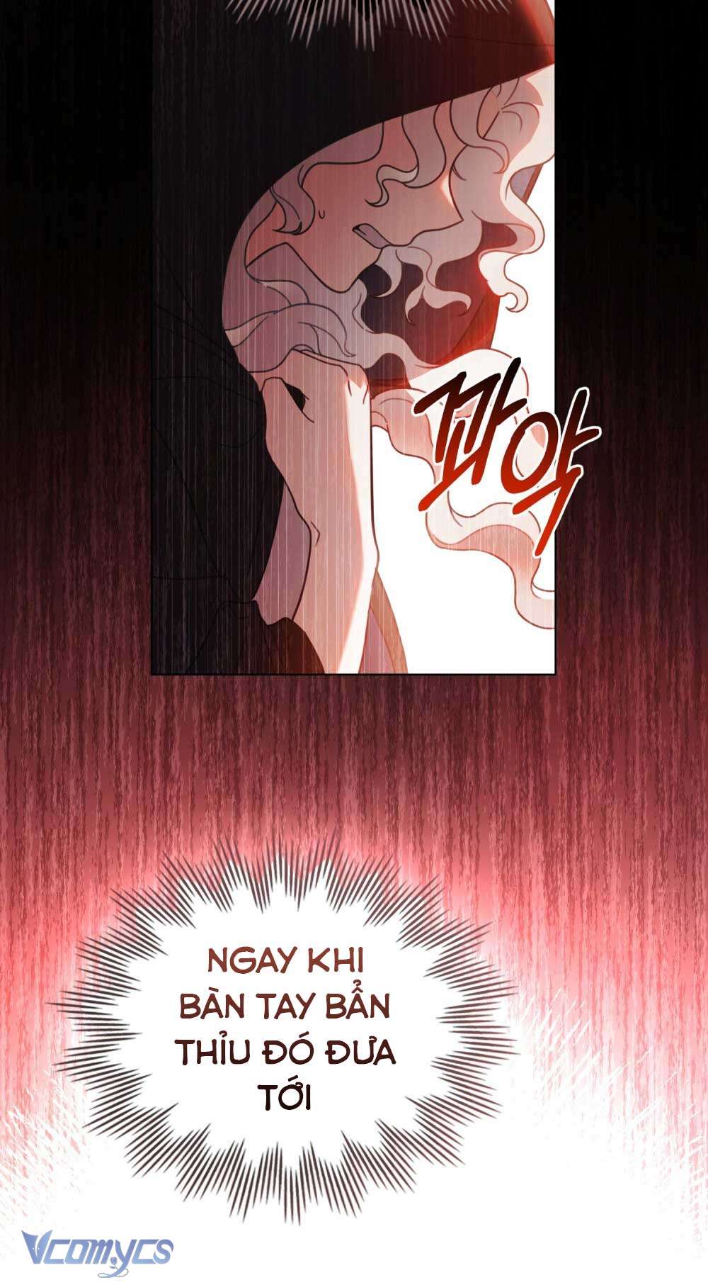 Hôn Nhân Khế Ước Chap 7 - Trang 2