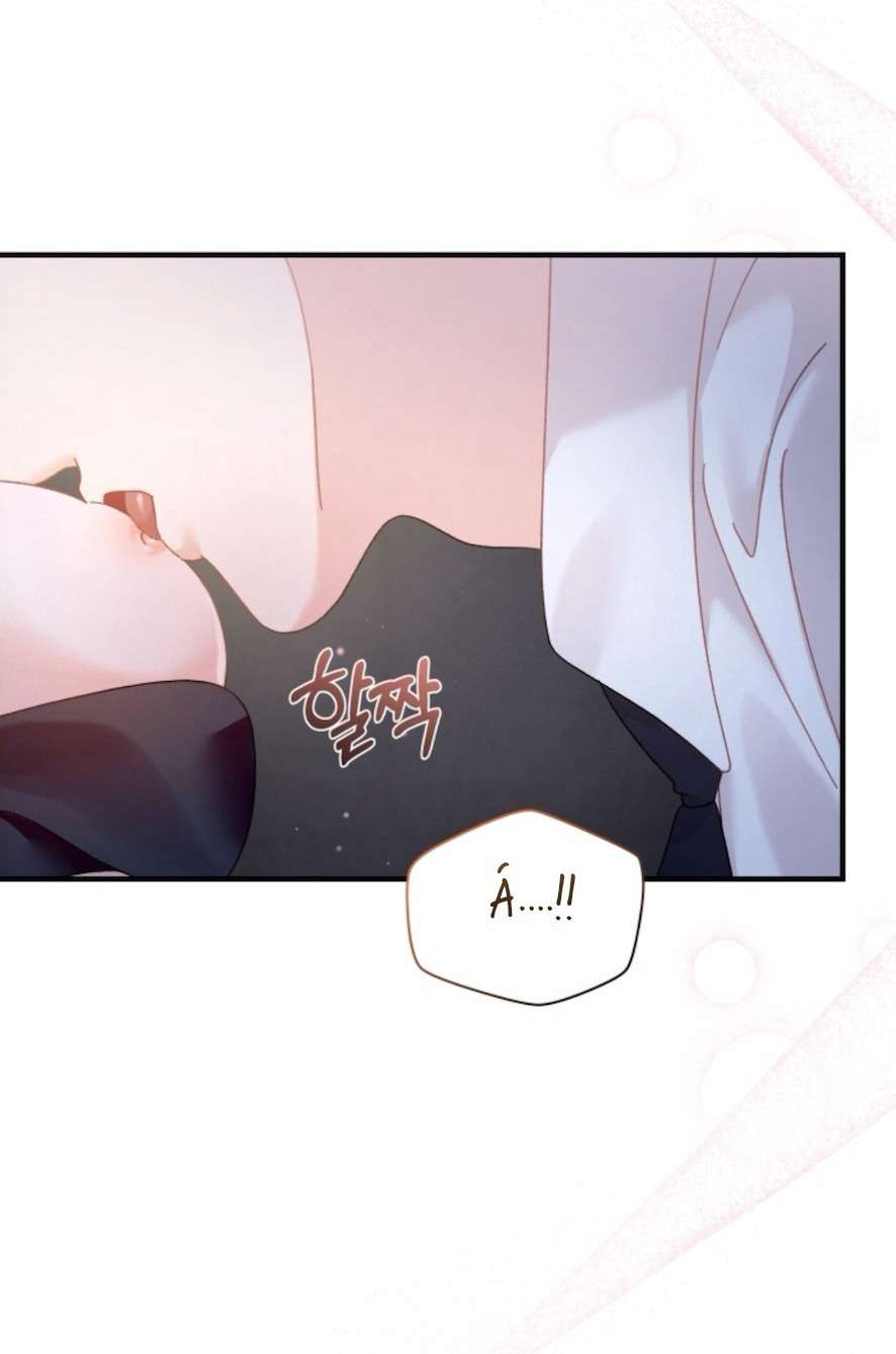 Chính Sách Khuyến Khích Chap 3 - Next 