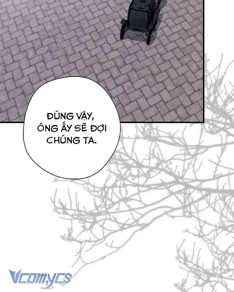 Các Nam Chính Đã Bị Nữ Phụ Cướp Mất Chap 40 - Trang 2