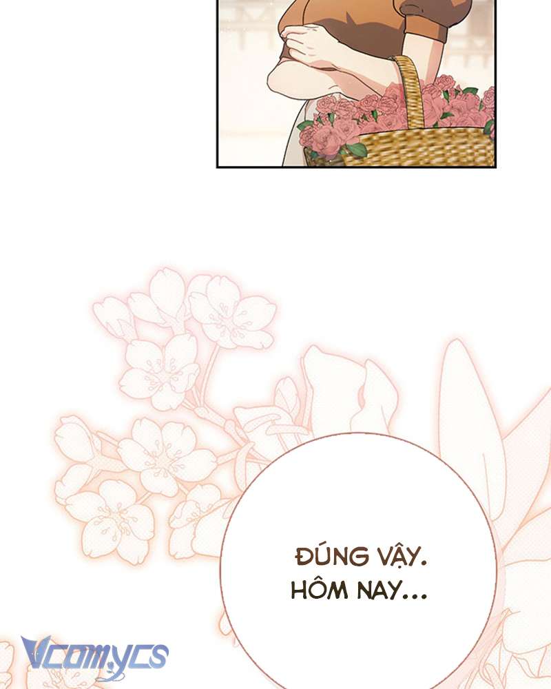 Tôi Đã Nuôi Dạy Em Gái Mình Một Cách Hoàn Hảo Chapter 24 - Trang 4