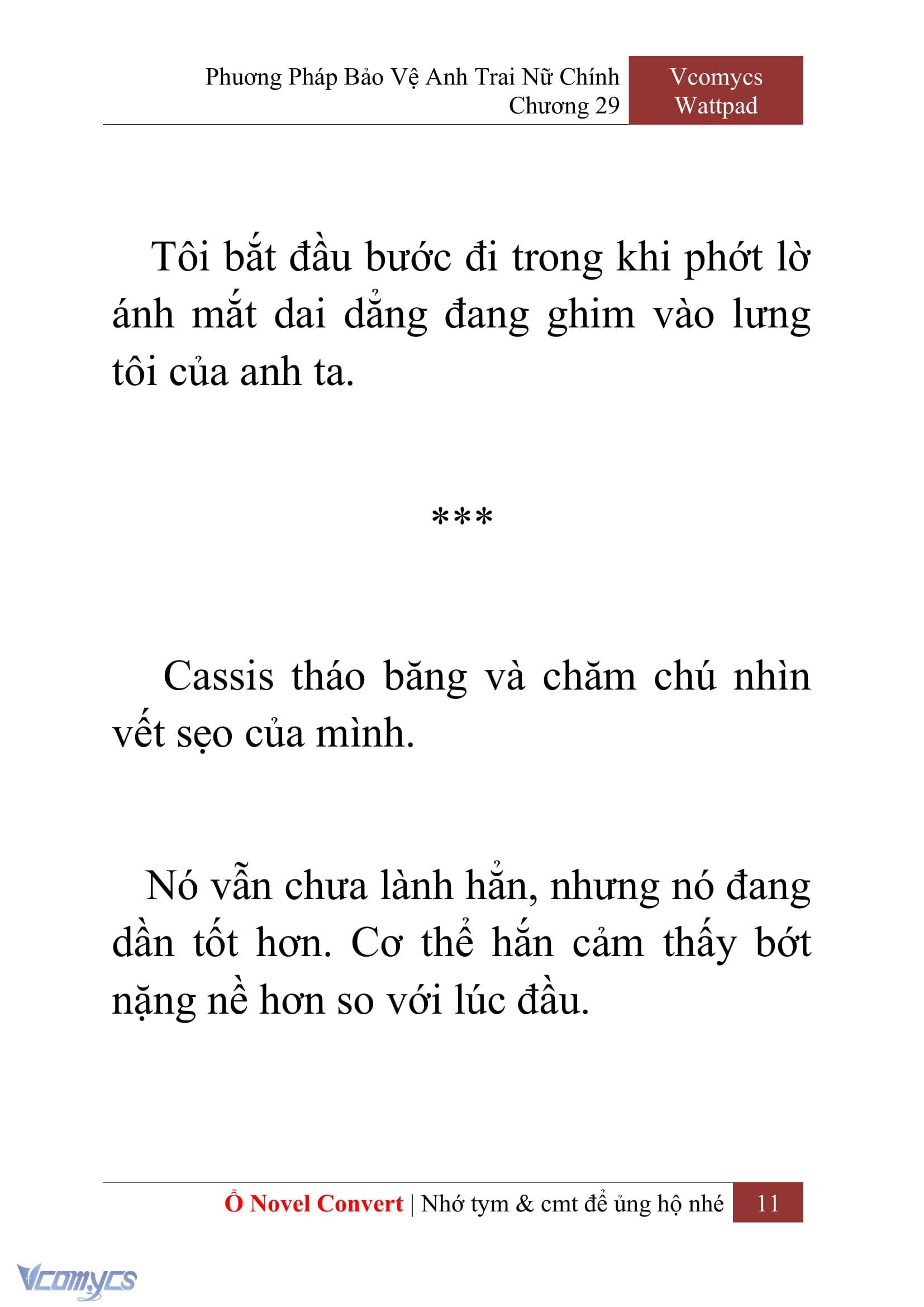 [Novel] Phương Pháp Bảo Vệ Anh Trai Nữ Chính Chap 29 - Next Chap 30