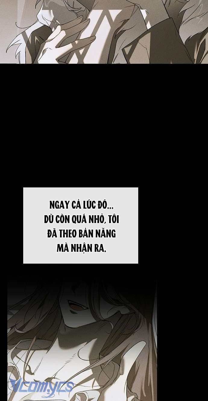 Cứ Cố Gắng Hết Sức Để Hối Hận Chap 3 - Trang 3