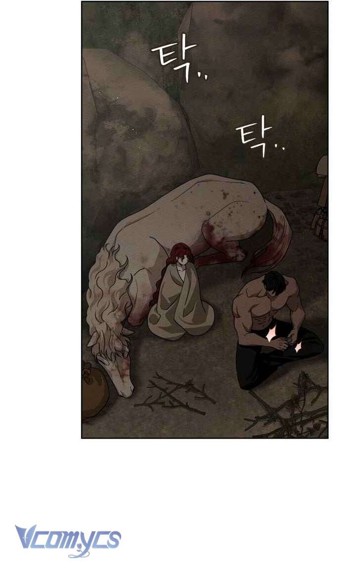 Dưới Bóng Cây Sồi Chapter 104 - Trang 4