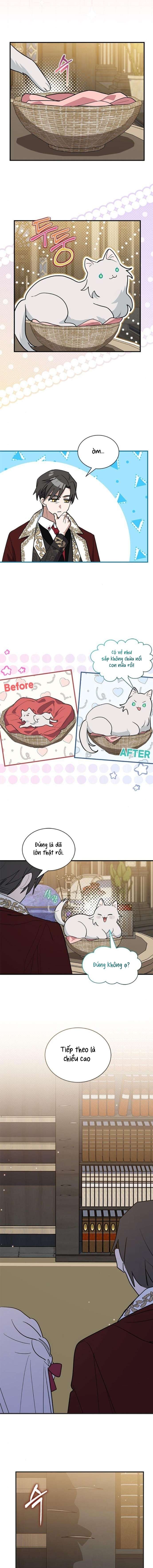 Mèo con được gia tộc sói nhận nuôi? Chap 41 - Trang 2