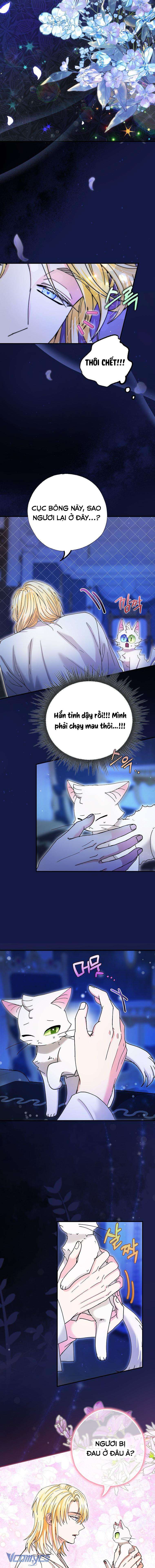 Trở Thành Miêu Nữ Của Hoàng Đế Chapter 6 - Trang 4