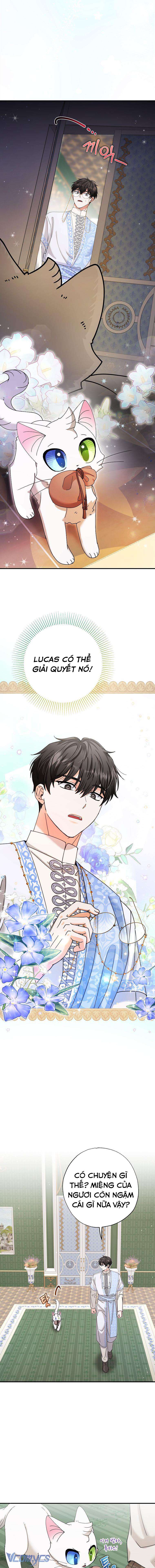 Trở Thành Miêu Nữ Của Hoàng Đế Chapter 11 - Trang 4