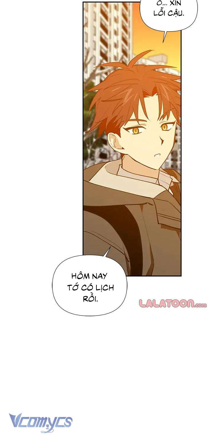 Điều Ước Sao Băng Chap 55 - Trang 4