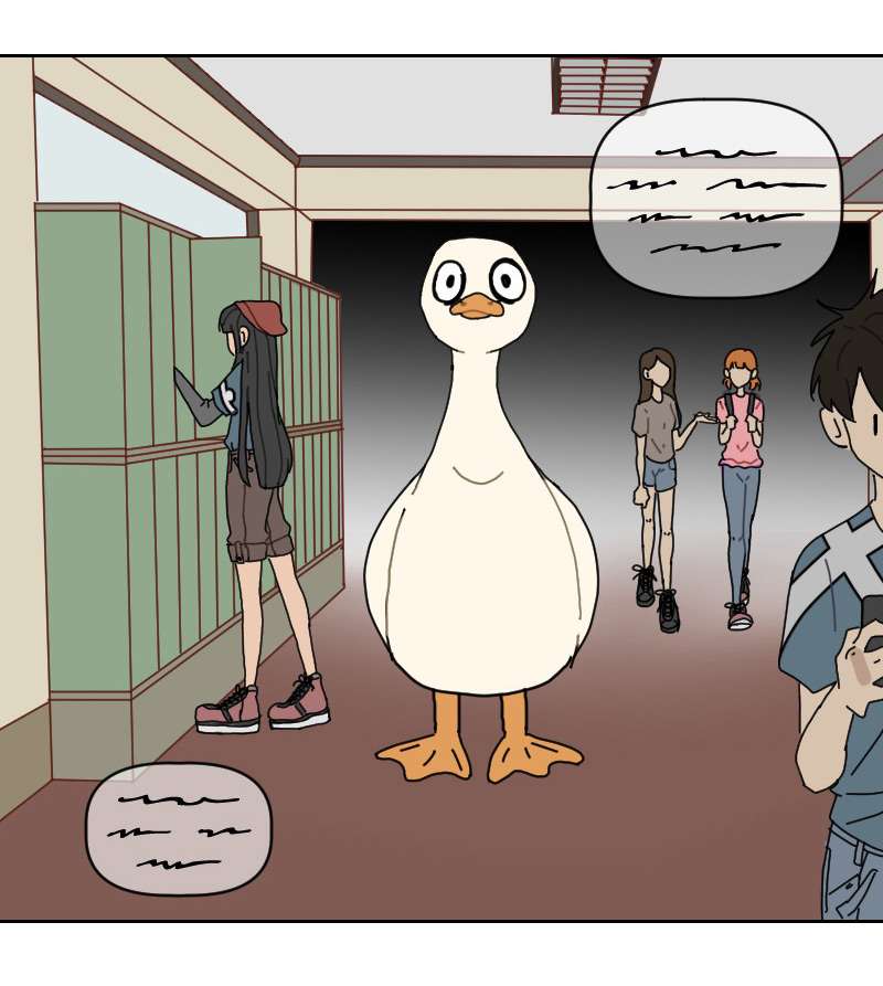Cái Vịt Gì Vậy?! Chap 1 - Trang 2