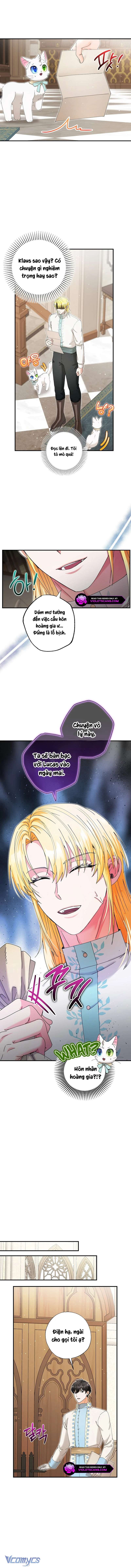Trở Thành Miêu Nữ Của Hoàng Đế Chap 40 - Trang 3
