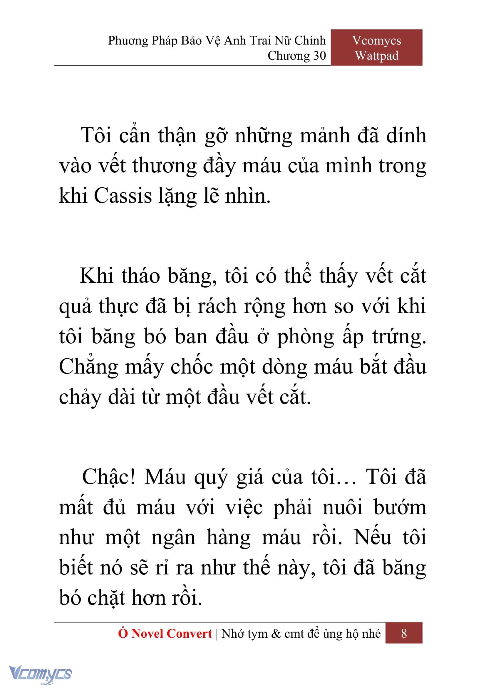 [Novel] Phương Pháp Bảo Vệ Anh Trai Nữ Chính Chap 30 - Next Chap 31