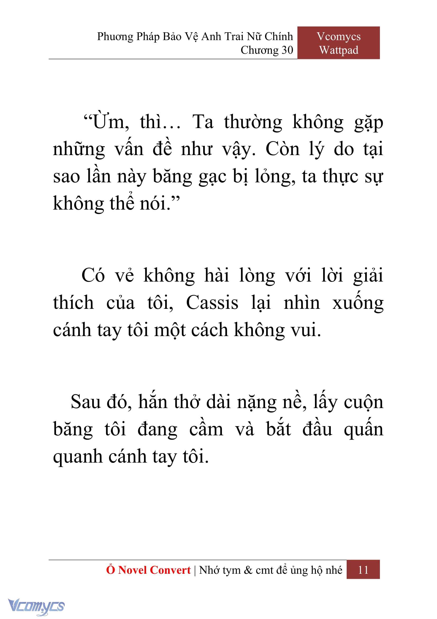 [Novel] Phương Pháp Bảo Vệ Anh Trai Nữ Chính Chap 30 - Next Chap 31