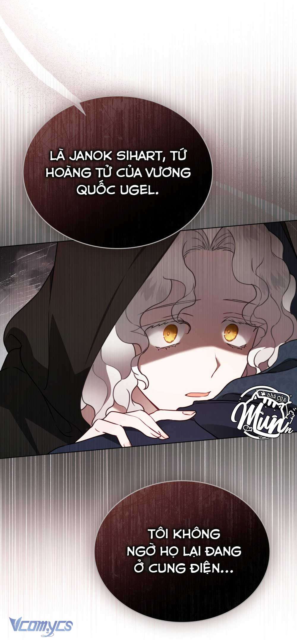 Hôn Nhân Khế Ước Chap 7 - Trang 3