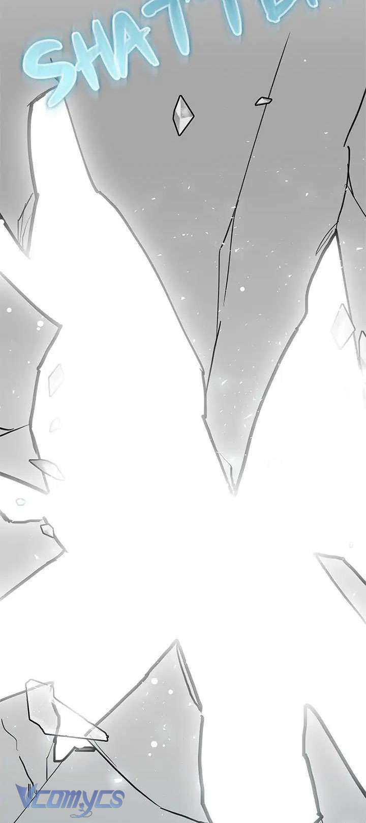 Điều Ước Sao Băng Chap 47 - Trang 4