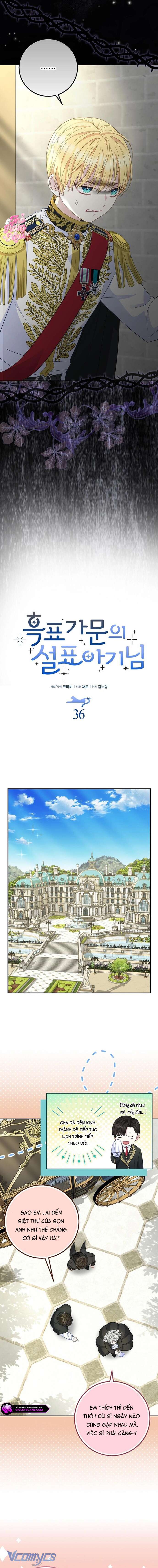 Bé Con Báo Tuyết Của Gia Tộc Báo Đen Chap 37 - Trang 3
