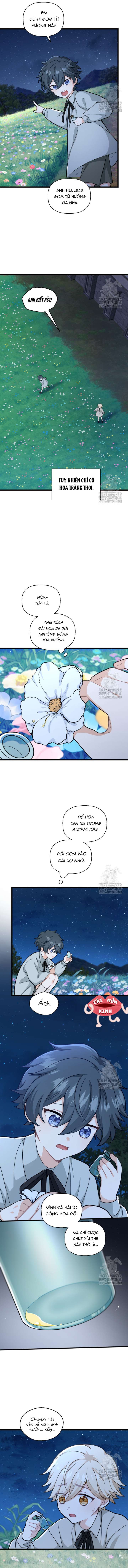 Bệ Hạ, Xin Hãy Quên Tôi Đi Chap 16 - Trang 2