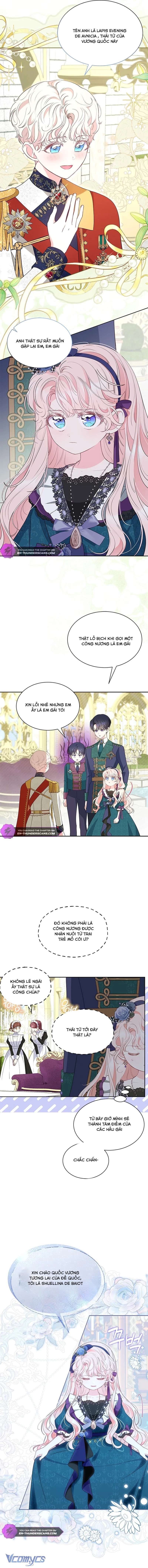 Đã Từ Chối Sủng Ái Rồi Mà Sao Còn Ám Ảnh Thế Chapter 33 - Trang 4