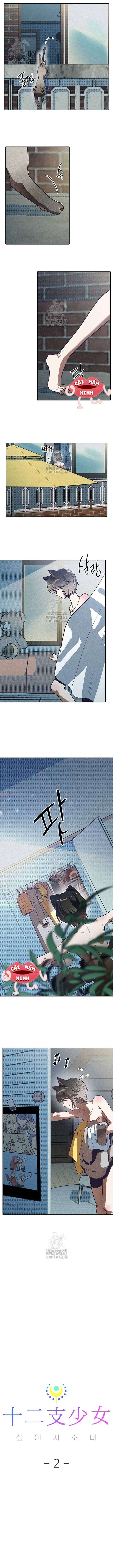 Thiếu Nữ 12 Con Giáp Chap 2 - Trang 2