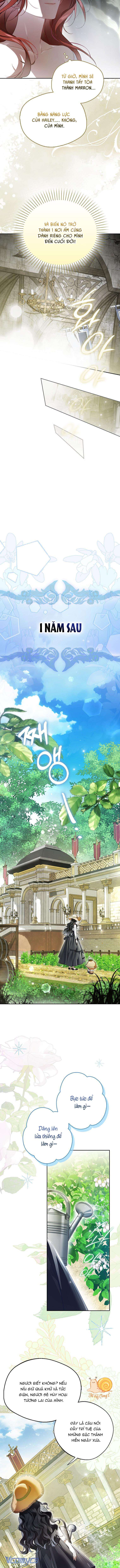 Hầu Tước Marron Chap 2 - Trang 2