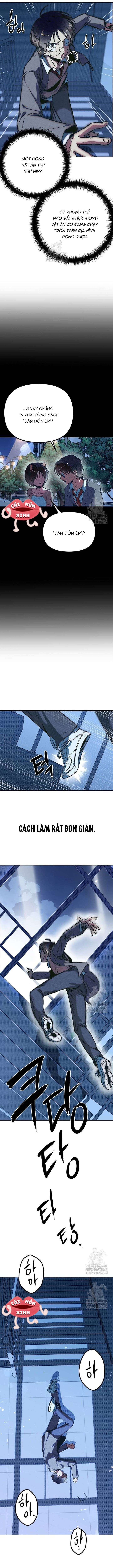 Thiếu Nữ 12 Con Giáp Chap 3 - Trang 3