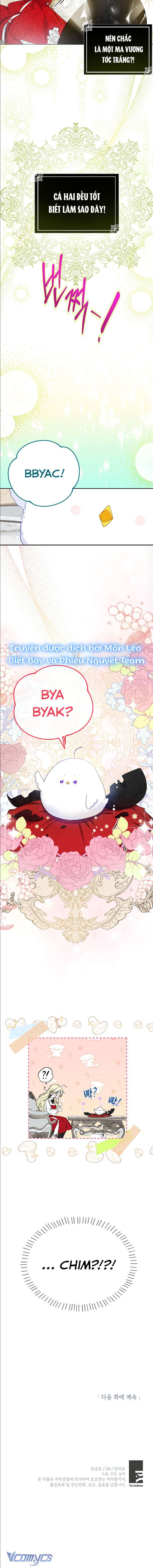 Hình Như Tôi Đã Xuyên Vào Cuốn Tiểu Thuyết Nào Đó Chapter 3 - Trang 4