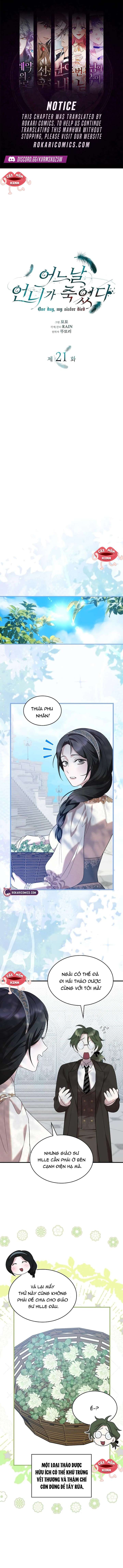 Vào Ngày Mà Chị Gái Tôi Qua Đời Chap 21 - Trang 2