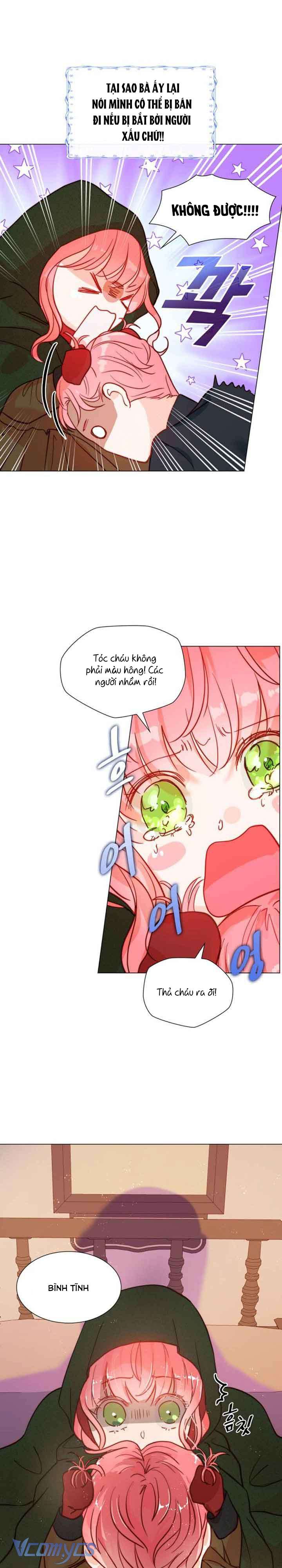 Tôi Được Sinh Ra Là Con Gái Thứ Hai Chapter 1 - Trang 4