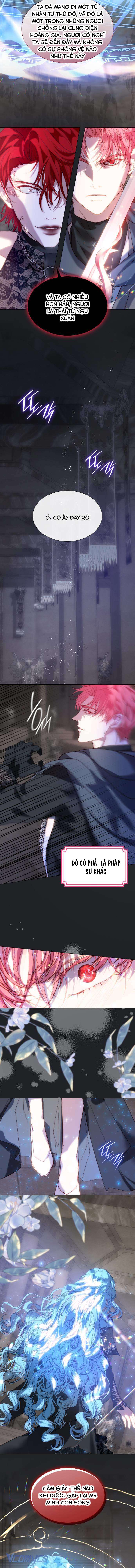 Tôi Được Sinh Ra Là Con Gái Thứ Hai Chapter 56 - Trang 4