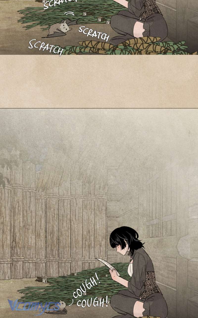 Vampire gặp thợ săn Chap 7 - Trang 3