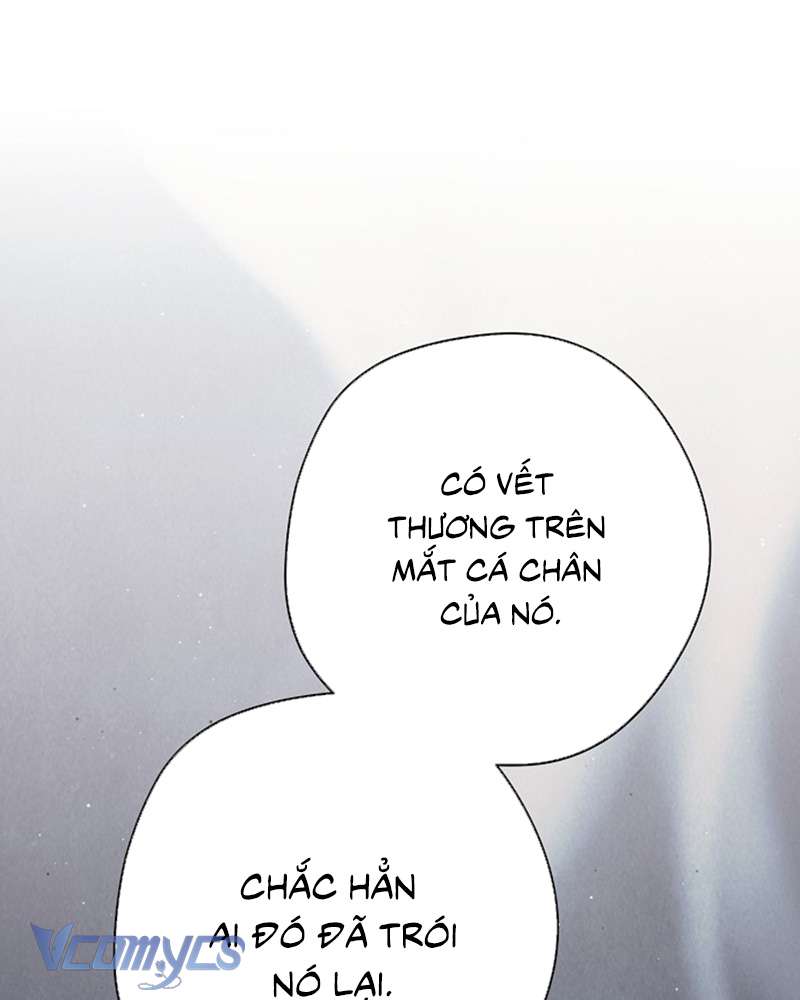 Các Nam Chính Đã Bị Nữ Phụ Cướp Mất Chap 60 - Trang 3