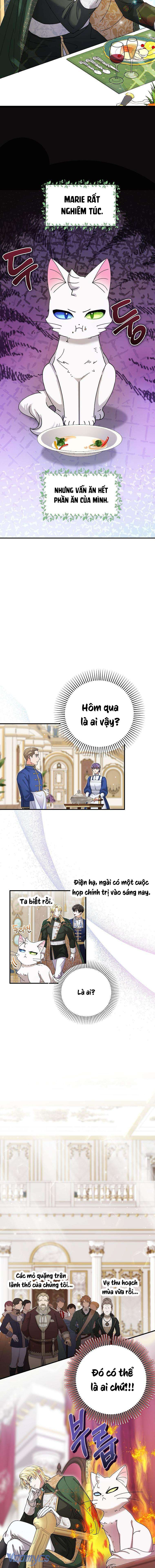 Trở Thành Miêu Nữ Của Hoàng Đế Chapter 6 - Trang 4