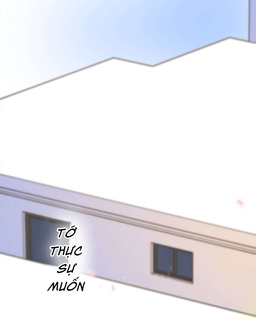 Ánh Sao Phiêu Linh Trong Nước Chap 73 - Trang 4
