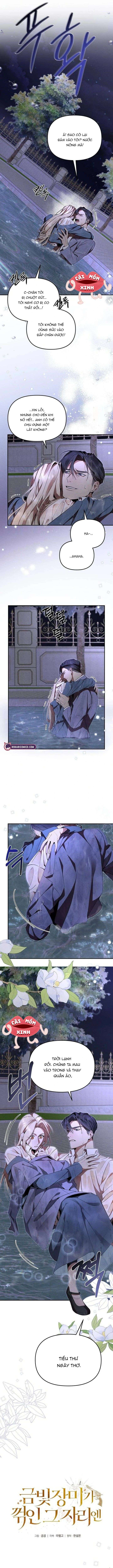 Nơi Đóa Hồng Vàng Úa Tàn Chap 3 - Trang 3