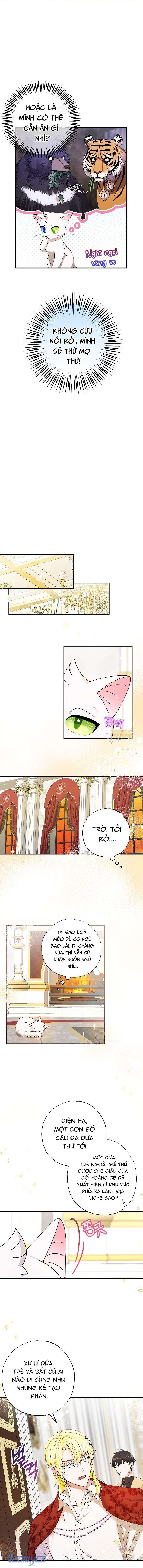 Trở Thành Miêu Nữ Của Hoàng Đế Chapter 2 - Trang 4