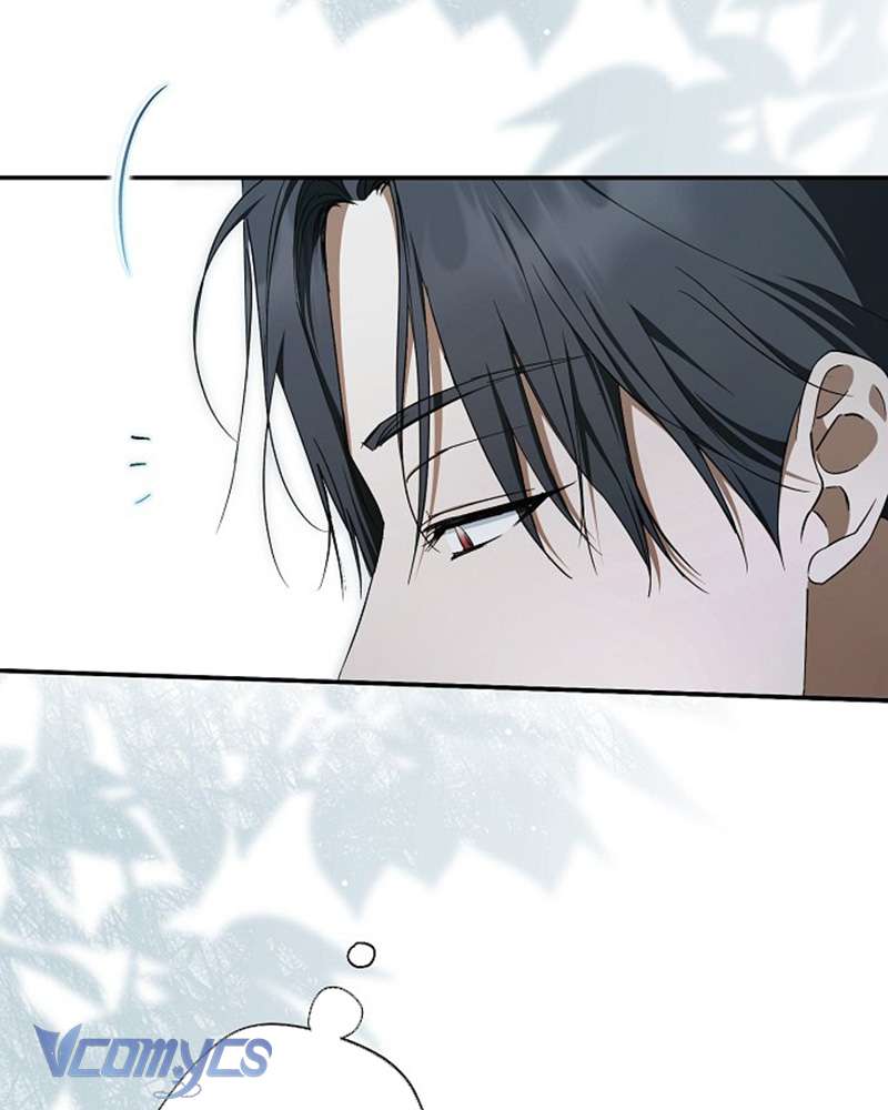 Các Nam Chính Đã Bị Nữ Phụ Cướp Mất Chap 60 - Trang 3
