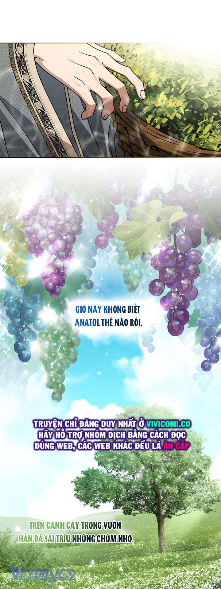 Dưới Bóng Cây Sồi Chap 117 - Trang 2