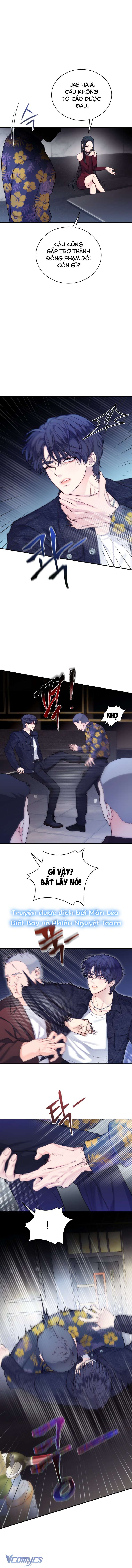 Cô Gái Cứu Tinh Được Yêu Mến Chapter 45 - Trang 4