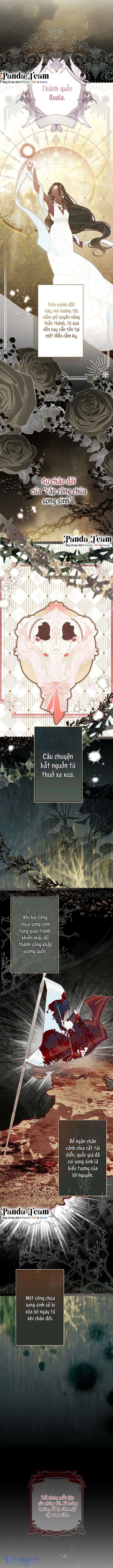 Kiếp Này Em Sẽ Không Sống Dưới Cái Bóng Của Người Chị Song Sinh Chap 2 - Trang 2