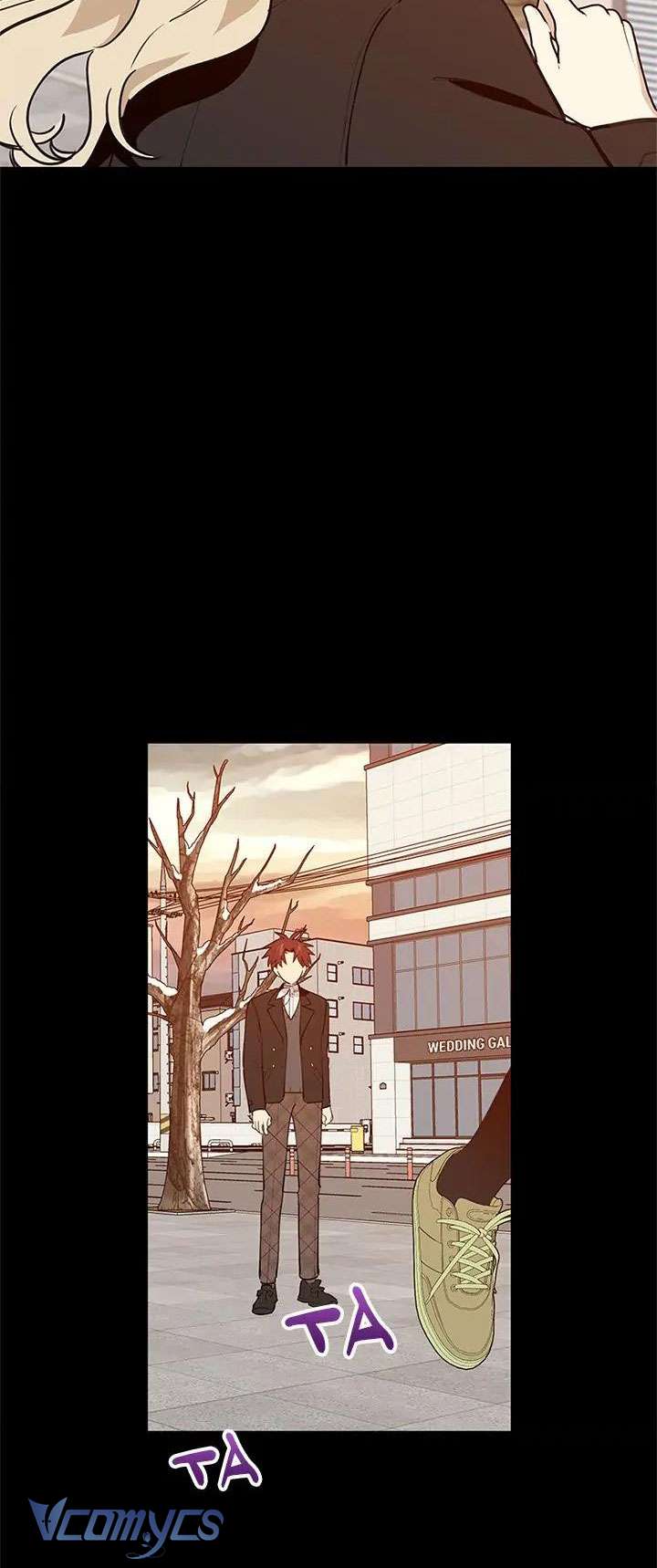 Điều Ước Sao Băng Chap 45 - Trang 4