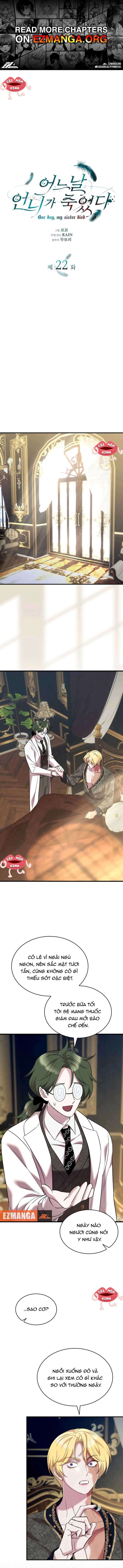 Vào Ngày Mà Chị Gái Tôi Qua Đời Chap 22 - Trang 2
