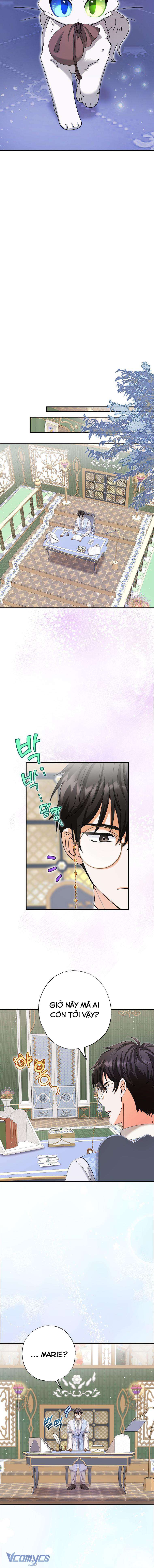 Trở Thành Miêu Nữ Của Hoàng Đế Chapter 11 - Trang 4