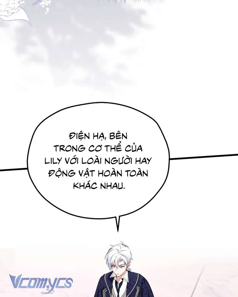 Cô Ấy Sẽ Thuần Hóa Các Anh Hùng Chap 17 - Trang 3