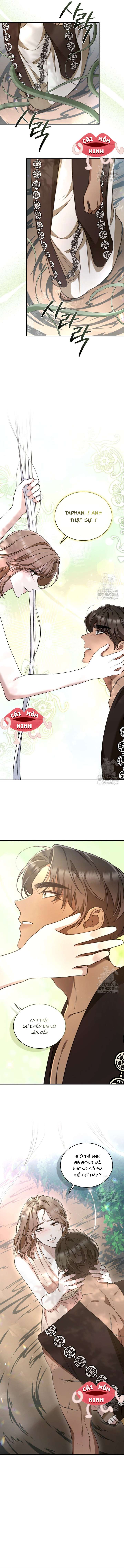 Khu Rừng Hoang Dã (END) Khu Rừng Hoang Dã -Chap 50 - Trang 2