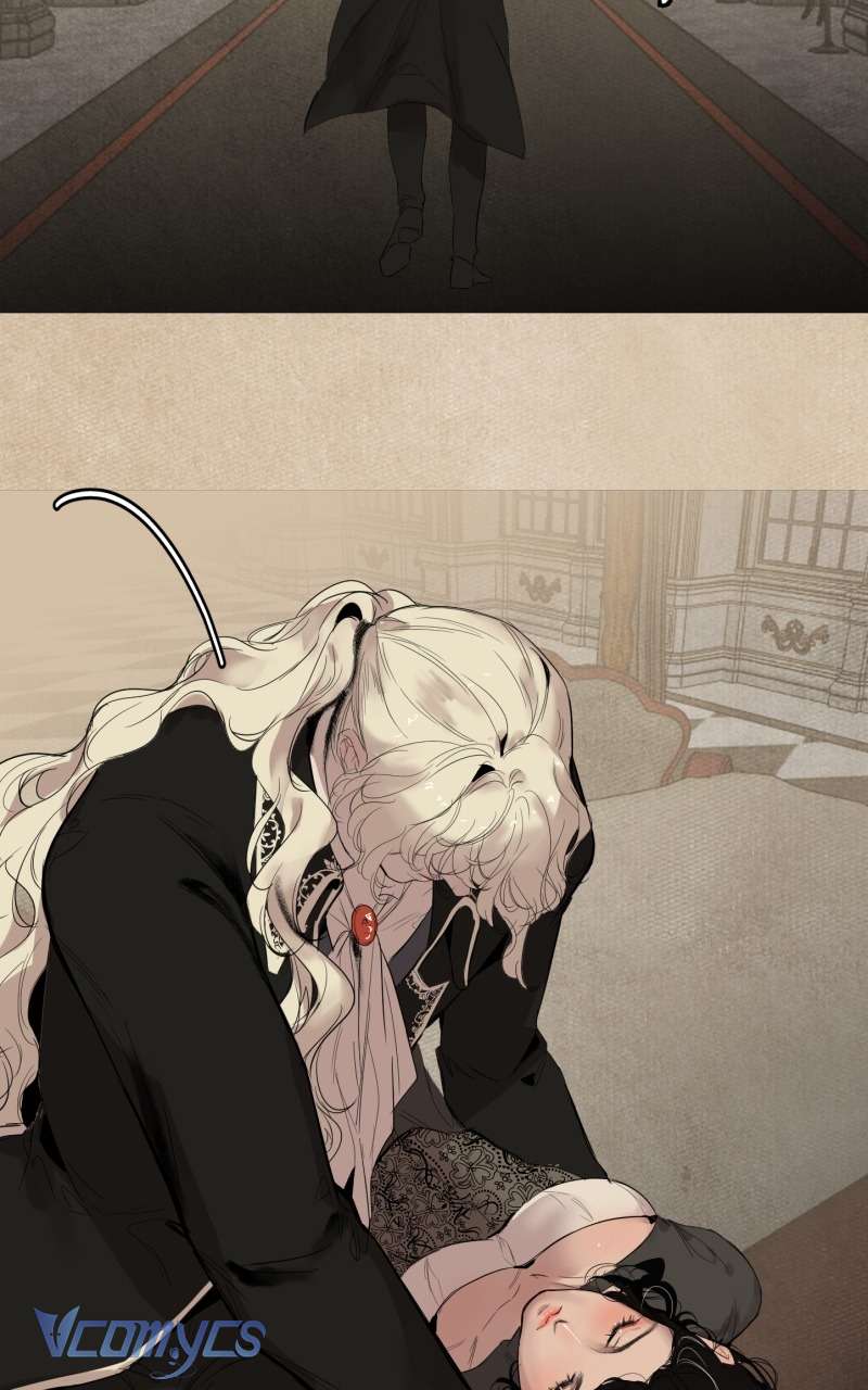 Vampire gặp thợ săn Chap 3 - Trang 3
