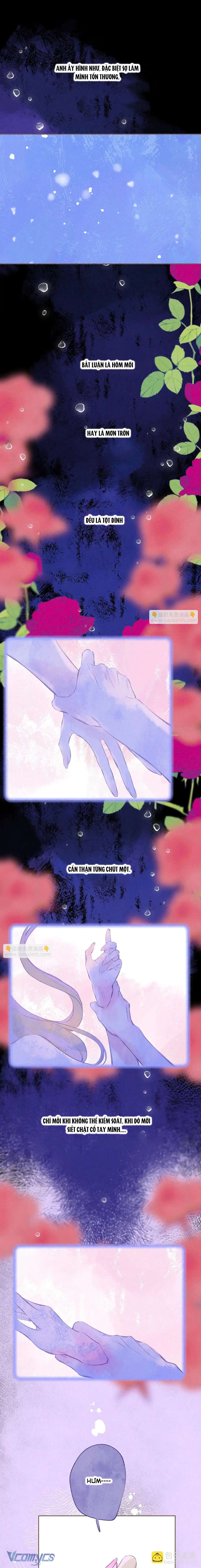 Chiếc Gai Ấm Áp Chap 64 - Trang 2