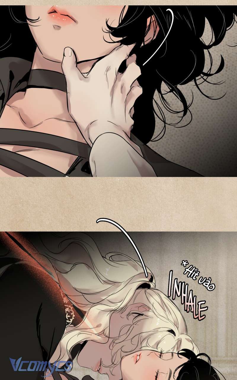 Vampire gặp thợ săn Chap 3 - Trang 3
