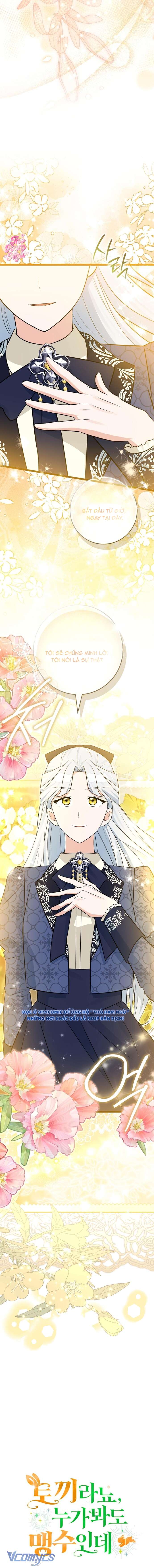 Thỏ Á? Rõ Ràng Là Mãnh Thú Cơ Mà! Chap 20 - Trang 3