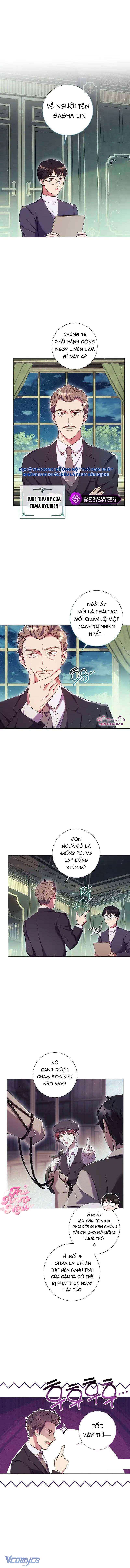 Sao Tôi Có Thể Li Hôn Khi Còn Chưa Kết Hôn Đây, Thưa Bệ Hạ Chap 6 - Next Chap 7